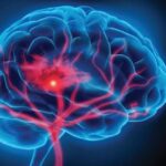 imagem de um cérebro para o item Fisioterapia Neurofuncional.